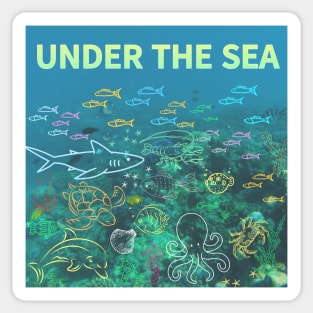 under the sea,blue sea,sea creatures,Turtle, puffer fish, starfish, shrimp, shark, tropical fish, sea horse, seaweed, sardines, squid, crabs, clams Sticker